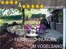 Im Vogelsang