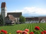 pensas.de - Top-10: Gästehaus Ainser