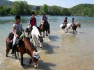 pensas.de - Top-10:  Kinder- & Jugendfarm - Reitverein Löwenherz